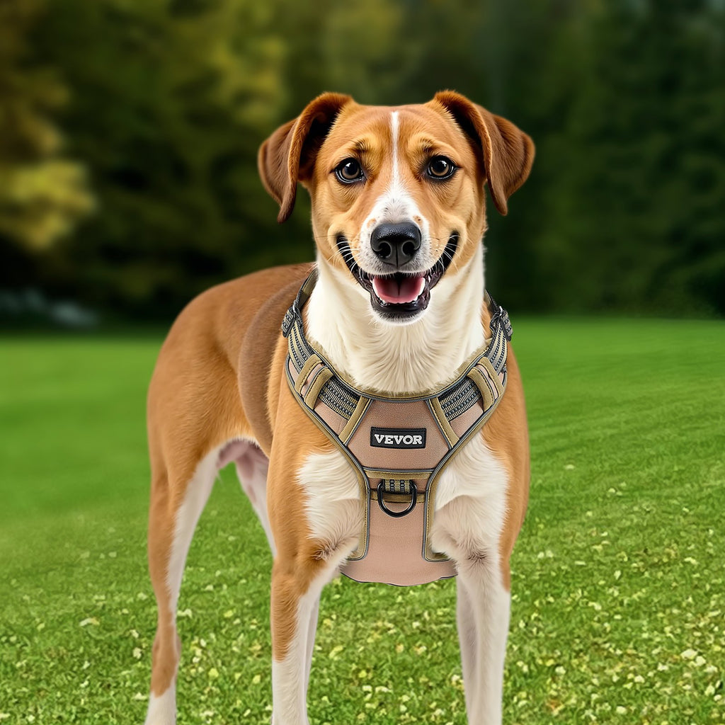Adjustable Tactical Dog Harness for Large Dogs Easy Control Walks