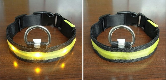 LED Dog Collar for Safe Night Walks and Visibility