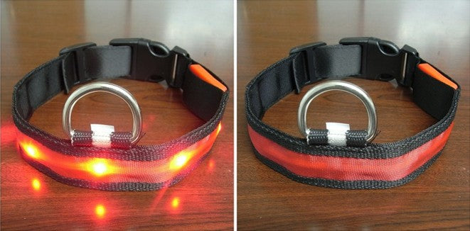 LED Dog Collar for Safe Night Walks and Visibility