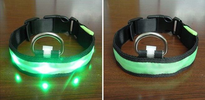 LED Dog Collar for Safe Night Walks and Visibility