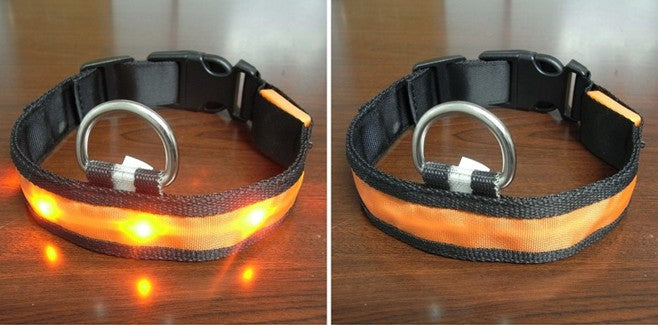 LED Dog Collar for Safe Night Walks and Visibility