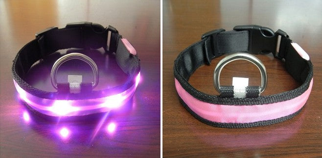 LED Dog Collar for Safe Night Walks and Visibility