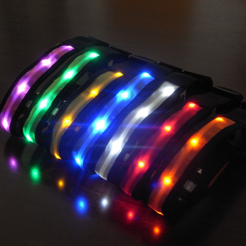 Collar LED para perros para paseos nocturnos seguros y visibilidad