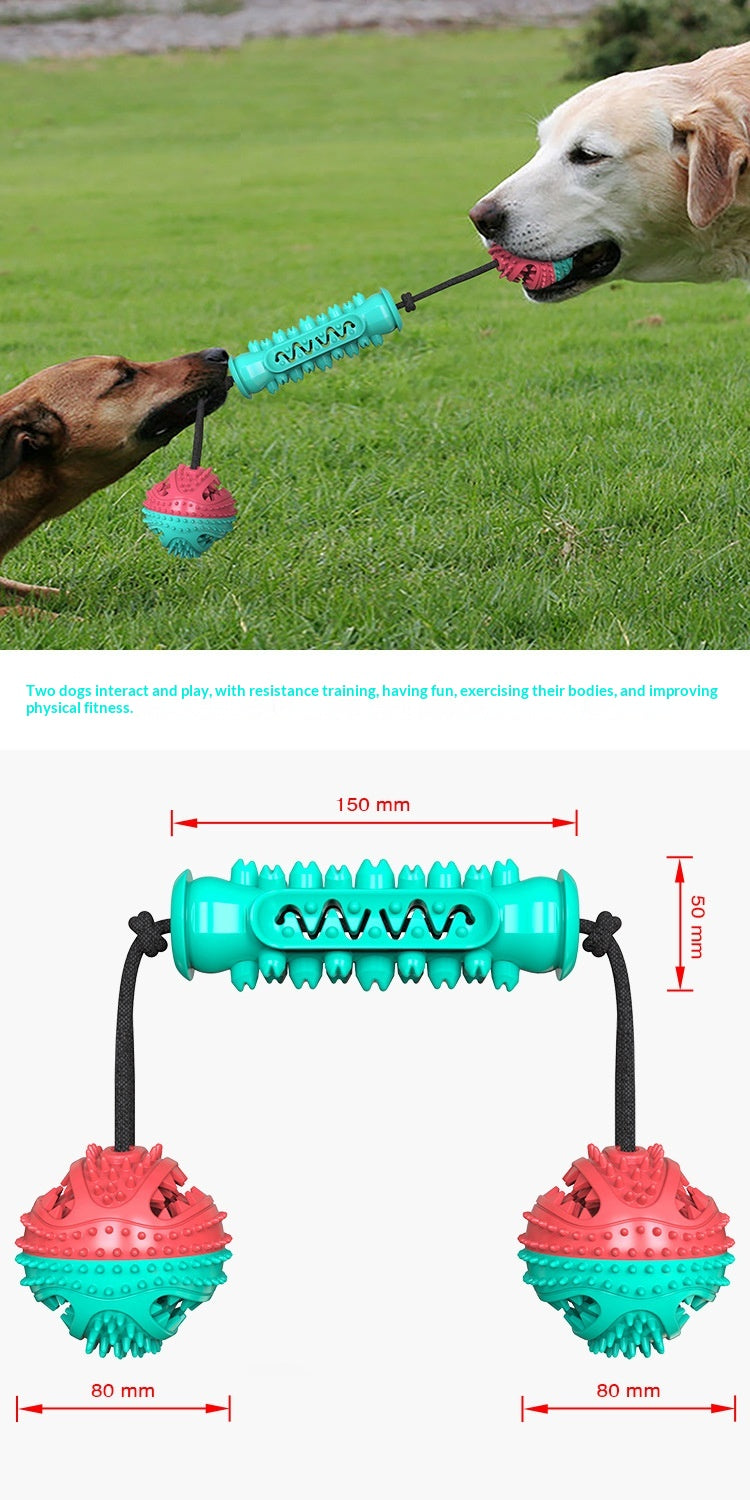 Juguete masticable para perros para la limpieza dental diaria y encías sanas