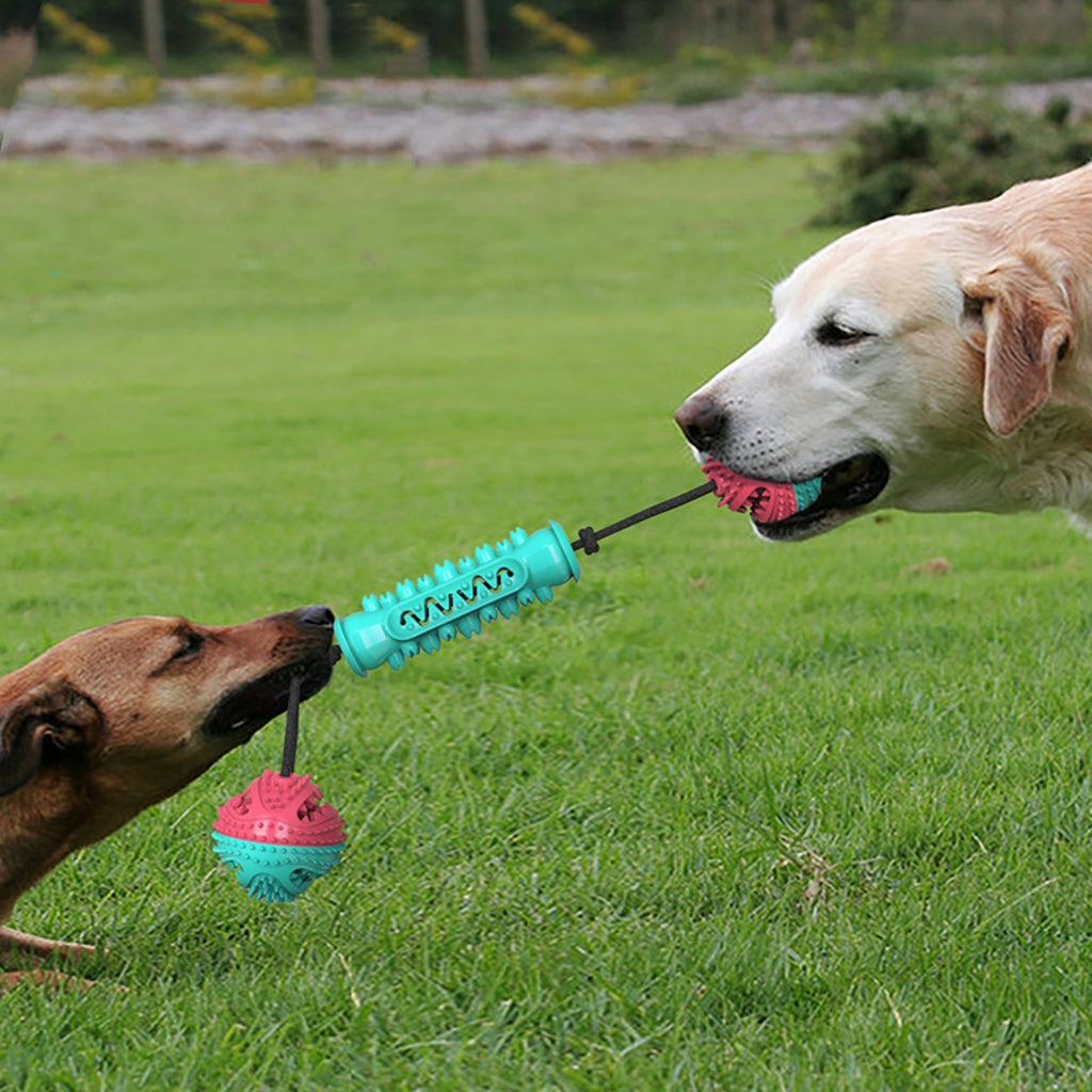 Juguete masticable para perros para la limpieza dental diaria y encías sanas