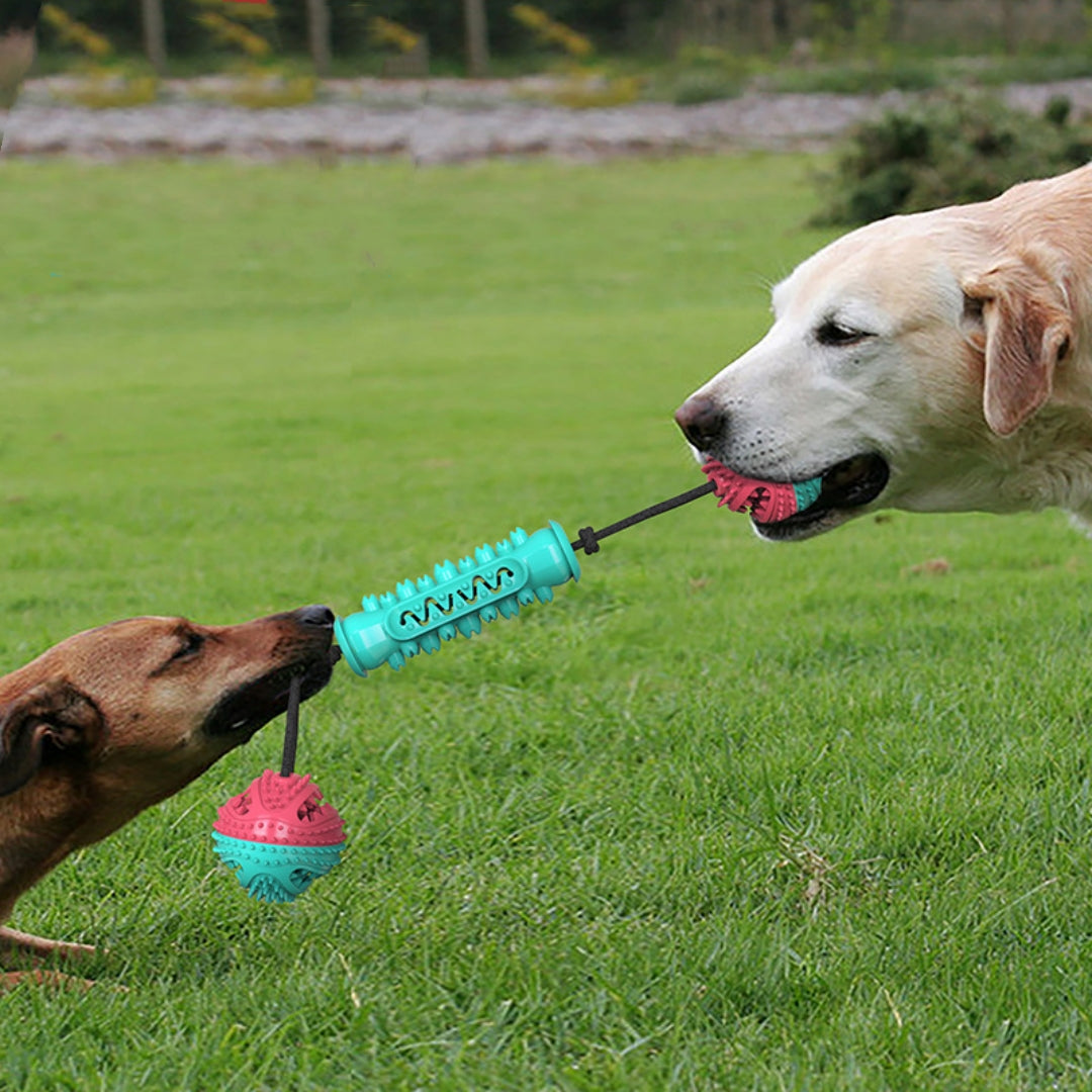 Juguete masticable para perros para la limpieza dental diaria y encías sanas