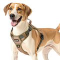 Adjustable Tactical Dog Harness for Large Dogs Easy Control Walks