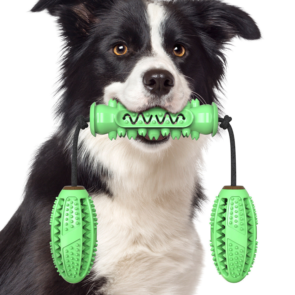 Dog Chew Toy for Teeth Cleaning and Healthy Gums Daily