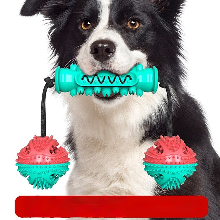 Dog Chew Toy for Teeth Cleaning and Healthy Gums Daily
